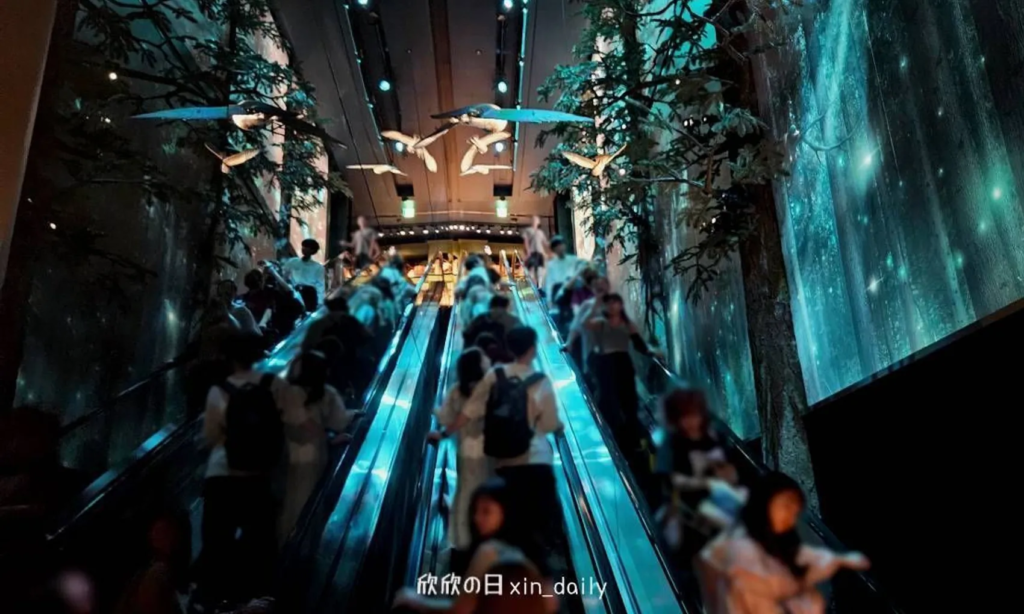 哈利波特旗艦店魔法森林手扶梯